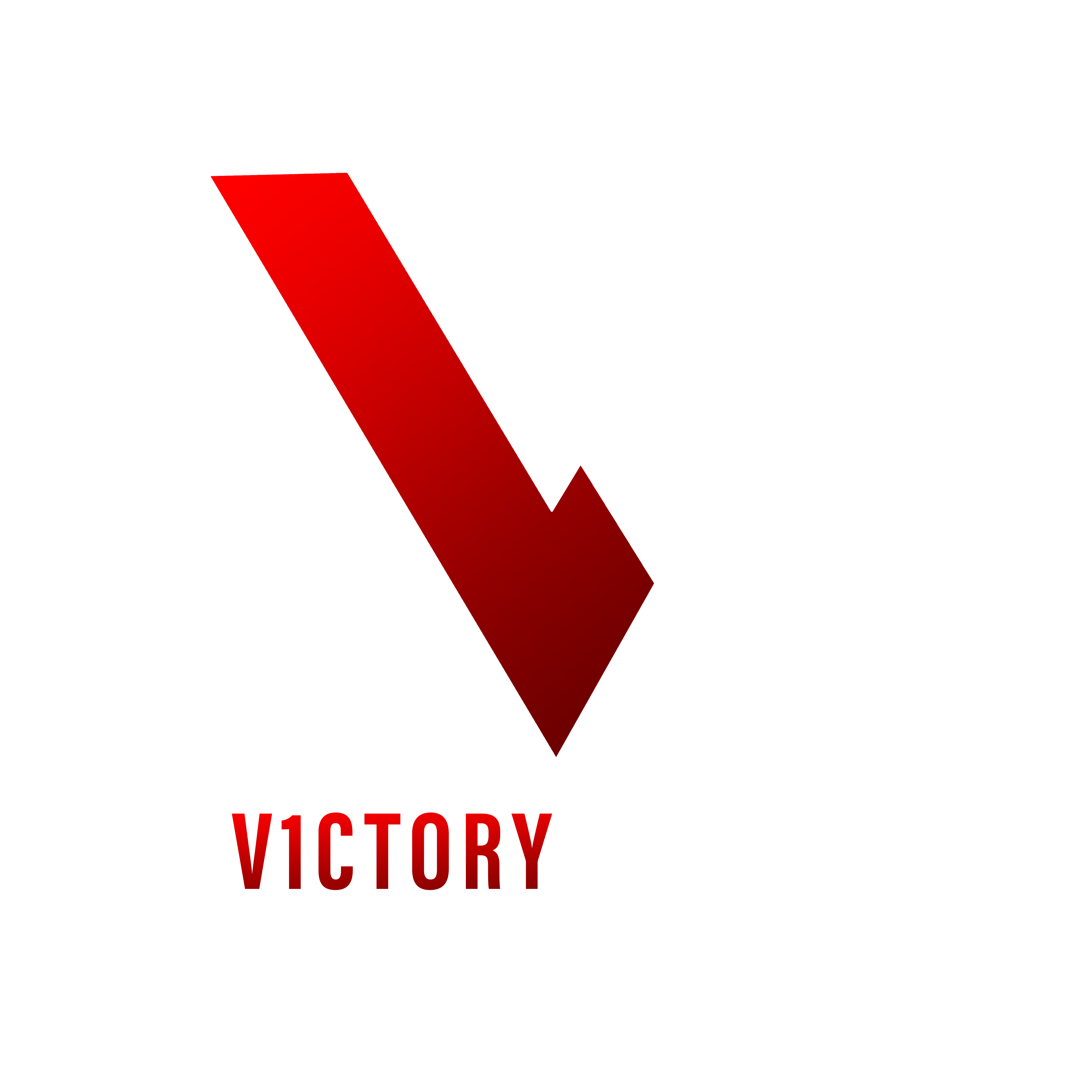 V1CTORY Esports